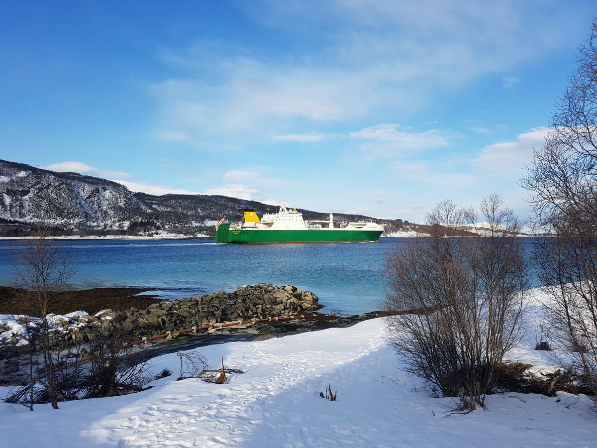 Tjeldsundbrua Camping Hotel Evenskjer Bagian luar foto