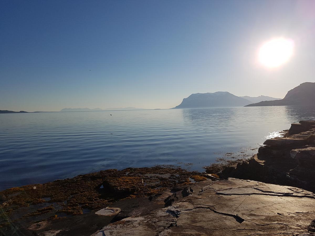 Tjeldsundbrua Camping Hotel Evenskjer Bagian luar foto