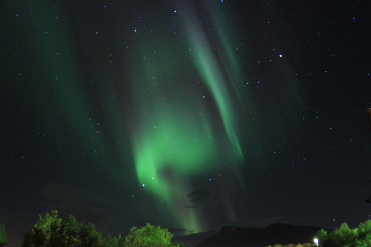 Tjeldsundbrua Camping Hotel Evenskjer Bagian luar foto