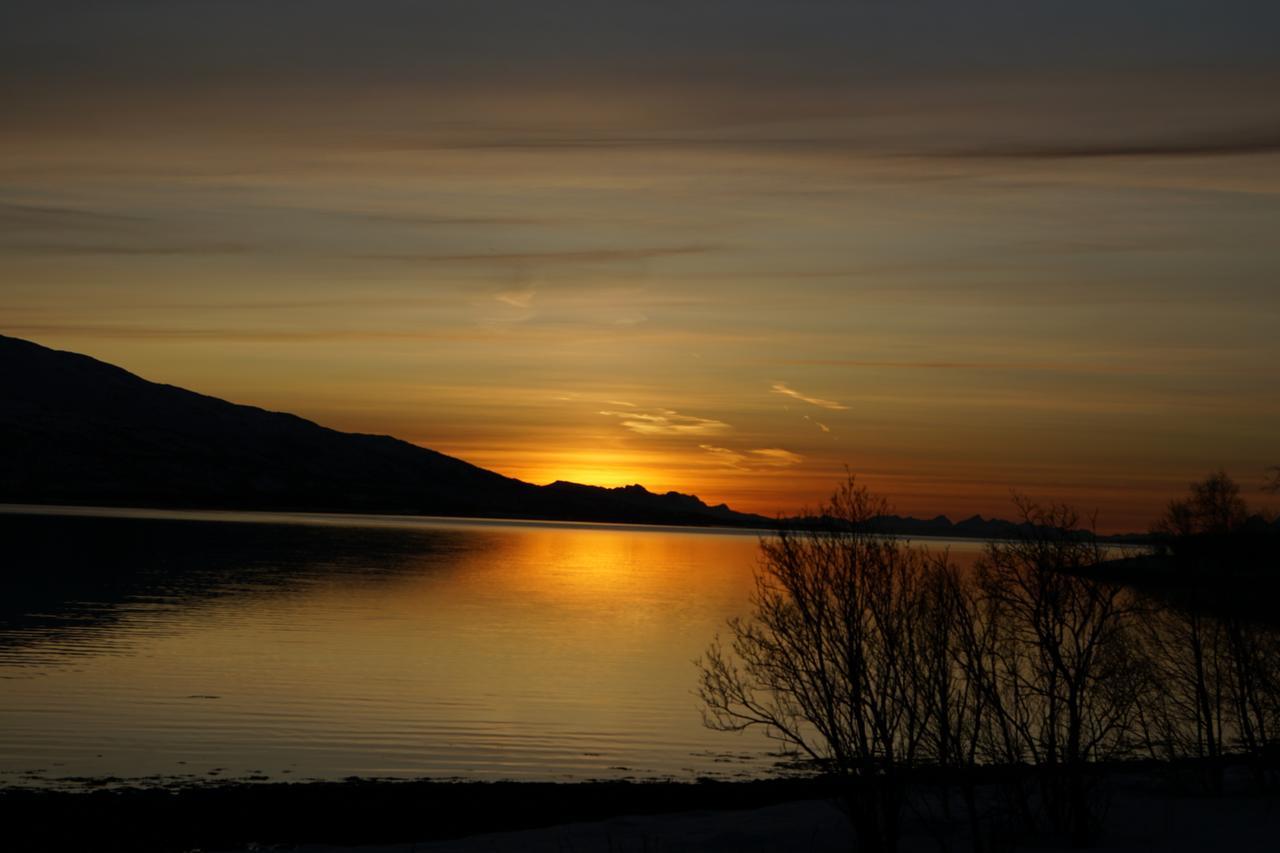 Tjeldsundbrua Camping Hotel Evenskjer Bagian luar foto