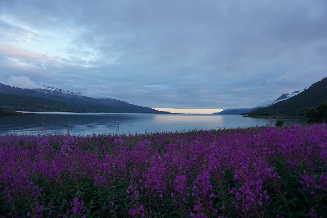 Tjeldsundbrua Camping Hotel Evenskjer Bagian luar foto