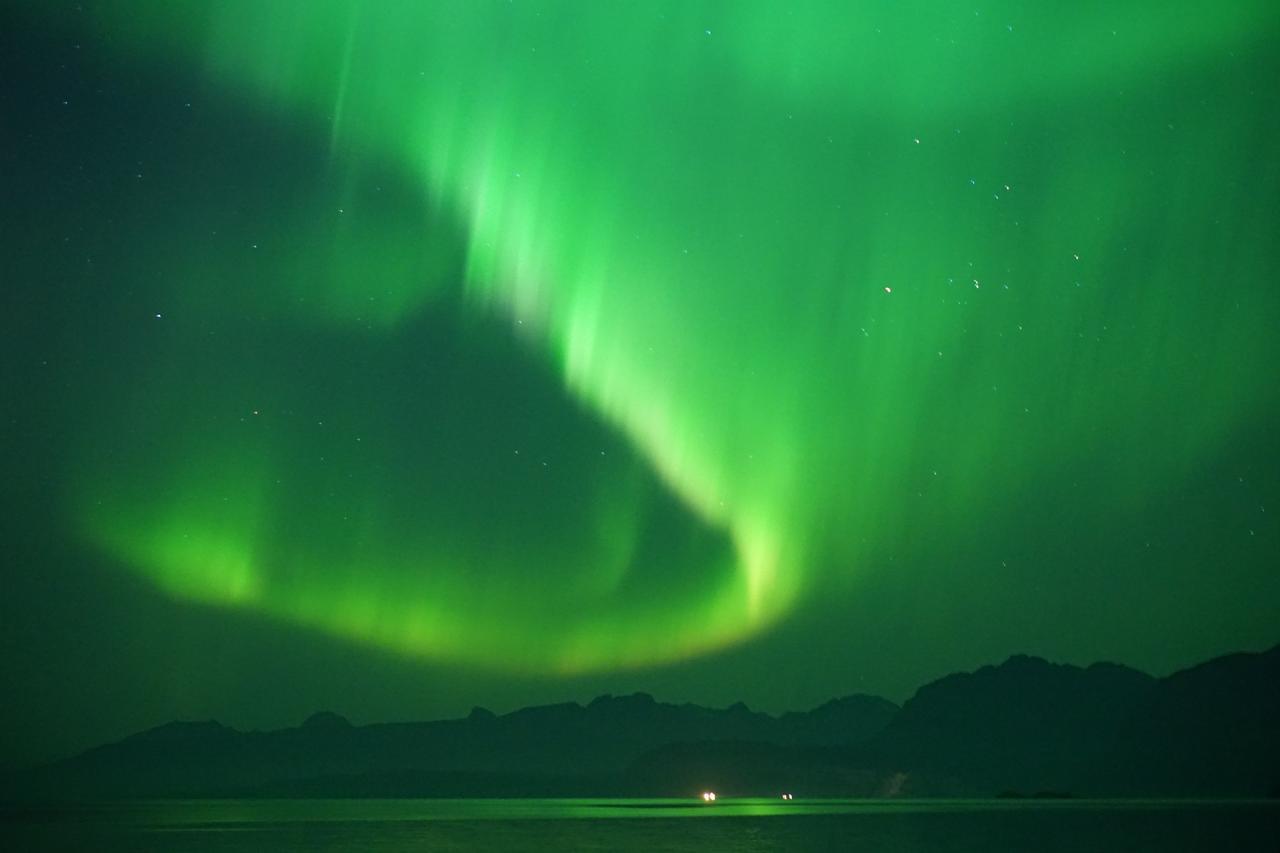 Tjeldsundbrua Camping Hotel Evenskjer Bagian luar foto