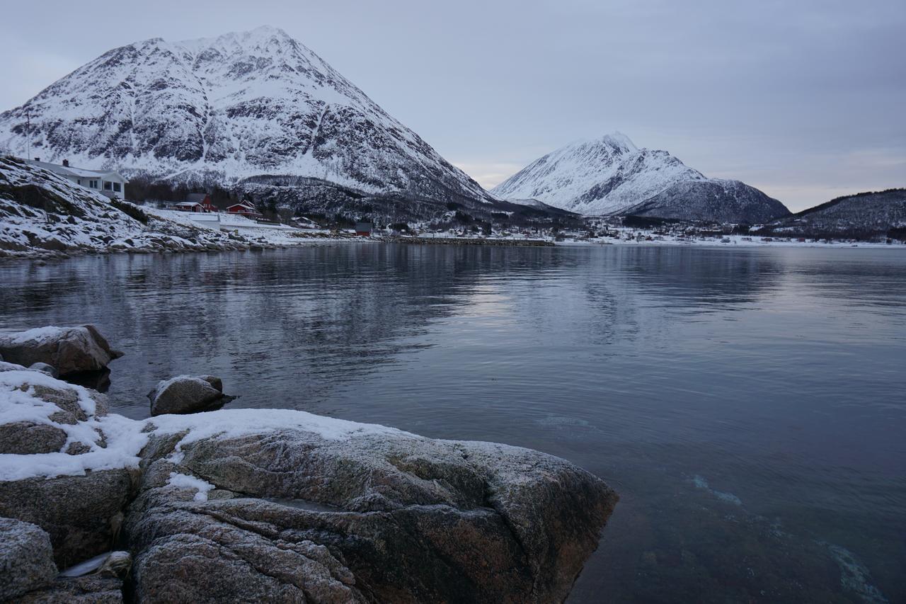 Tjeldsundbrua Camping Hotel Evenskjer Bagian luar foto