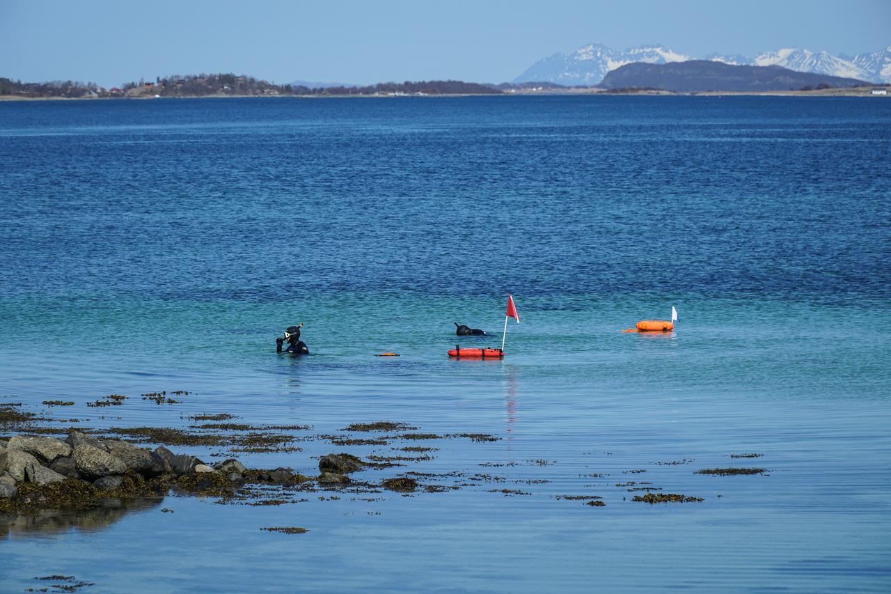 Tjeldsundbrua Camping Hotel Evenskjer Bagian luar foto